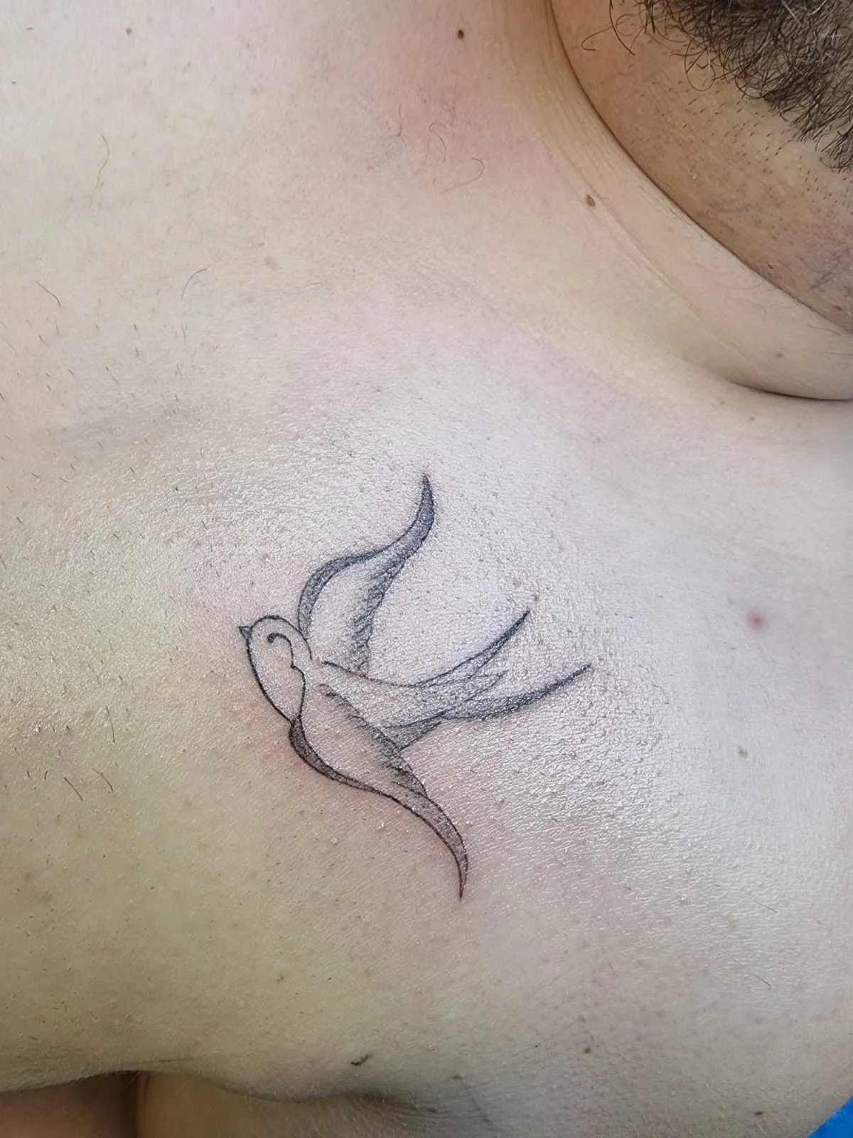 Fineline Tattoo von Jessica Baumann